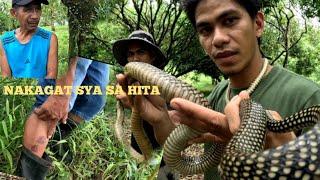 UMAATAKING KING COBRA SA TAGKAWAYAN QUEZON