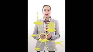 MSc Business Administration in Sustainability and Circular Innovation