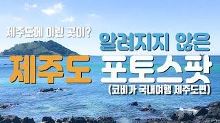 제주도에 이런곳이? 제주여행 인생샷 스팟 BEST4  [국내여행]
