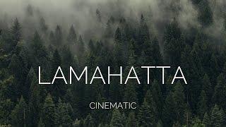 LAMAHATTA | Cinematic | offbeat Darjeeling | Wanderlust Arijit