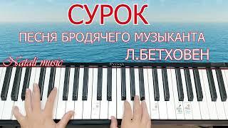 #пианинодляначинающих #пианино Сурок Песня Бродячего Музыканта Л.Бетхове