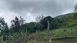 Overlooking Lot in Kili-og, Libona | Real Estate | Mitch Mandac