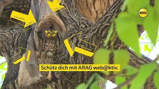 ARAG WEB@KTIV TV – Eule