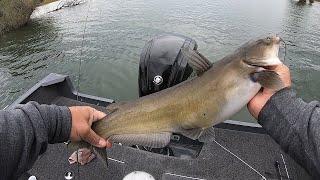 Catfishing After A Low Pressure System!!!