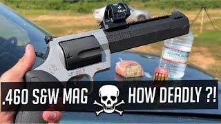 How Deadly Is The .460 S&W Magnum