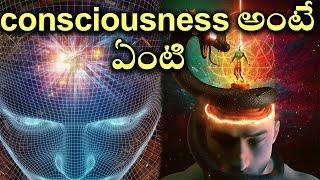 What is consciousness?, Telugu Alchemist