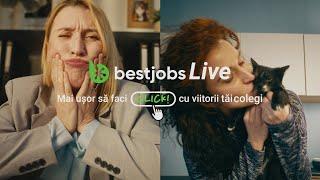 Bestjobs LIVE. Mai ușor să faci click cu viitorii tăi colegi!