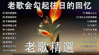 【老歌精選】【懷舊經典老歌】本人認為最好聽的台語歌70、80、90年代由台湾歌手演唱的台語一人一首成名曲《因为我爱你, 梦在妳怀中, 不要拋棄我, 后悔爱上你》taiwanese songs