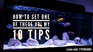 AFRICAN CICHLIDS- HOW TO SET UP A TANK & KEEP THEM HEALTHY | 10 TIPS