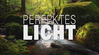 Perfektes Licht in der Karlstalschlucht | Landschaftsfotografie