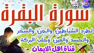 سورة البقرة كاملة مكررة لطرد الشياطين والجن والسحر والحسد والعين جلب الرزق تحصين البيتsurat albaqara