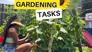 Small Backyard Gardening Tasks️Planting, Pruning, and Life Update!