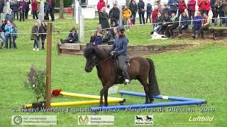 Gaited Working Equitation Turnier - Offenthal 2019