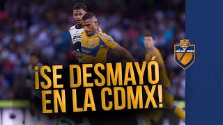 Joaquim se desmayó tras el Tigres vs Pumas, revela el DT Veljko Paunovic