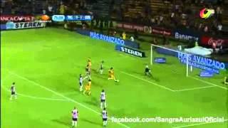 Goles del partido Tigres 3-3 Chivas en el estadio Universitario - Jornada 9, Liga MX, A2013