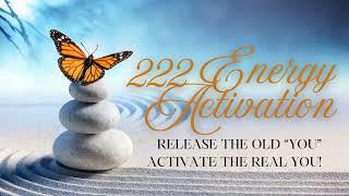 Release the Old " You" |222 Portal Energy Activation  Heal, Transmute & Embody Your Highest Self 