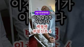 감기인 줄 알았는데 이 증상 백혈병이었습니다. 99%가 놓치는 위험신호 4가지! #건강 #건강정보