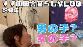 ついに赤ちゃんの性別が判明しました！【田舎暮らしVLOG】