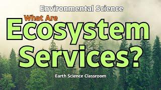 What Are Ecosystem Services?