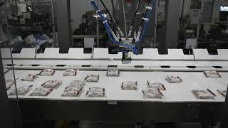 V Series Carton Packer | High Speed Pick and Place Robotics