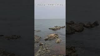 250620 울진 죽변해안스카이레일 (동해안ktx보다 전망좋음 ㅋ)