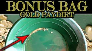 GOLD BONUS BAG! - 3 BAGS of Dirthogg Paydirt - 2 Pound Cariboo Claim