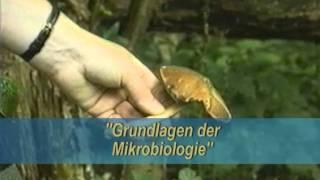 Grundlagen der Mikrobiologie