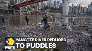Drought in China causes Yangtze river to dry up; lakes & ponds reduced to rocks & pebbles | WION