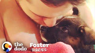 Family Fosters A Pair Of Puppies — And The Dad Falls In Love | The Dodo Foster Diaries