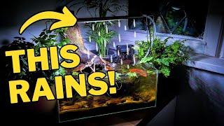 I Made This Aquarium Rain! | REAL Rainfall Simulator