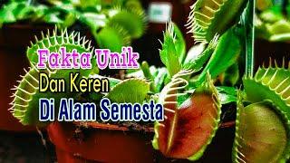 Fakta Unik  dan Keren di Alam Semesta