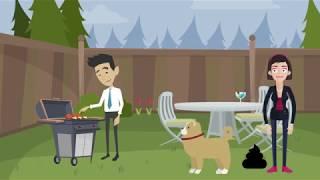 PawPail Explainer Video (Official) - PawPail.com