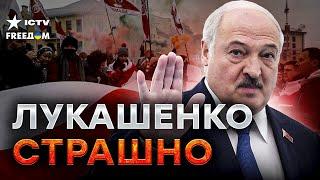 В Беларуси уже готовится СПЕЦНАЗ  ЛУКАШЕНКО ПАДЕТ, а за ним и Путин!