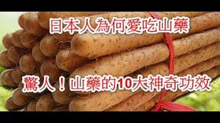 驚人！山藥的10大神奇功效