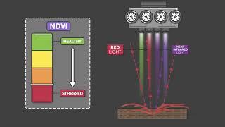 The science behind NDVI
