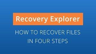 Recovery Explorer Professional: data recovery in 4 steps [SysDev Laboratories]