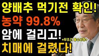 양배추 농약 오염도 98%, 전문가가 알려주는 해독법ㅣ효능 100배 높이는 황금비율ㅣ치매를 부르는 최악의 조합 3가지｜당뇨병｜고혈압｜마인드빌딩｜건강정보｜노후준비｜삶의지혜｜꿀팁
