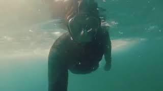 Snorkel en aguas mazatlecas 