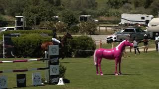 Show Jumping Waitemata World Cup Festival 2024    Young Rider