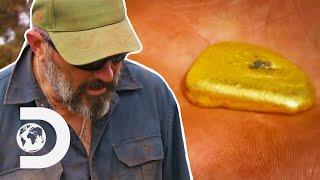 The Gold Retrievers Find A Potential Gold MOTHER LOAD! | Aussie Gold Hunters