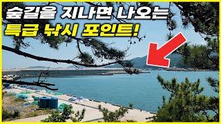 나만 알고 싶은 낚시 포인트! 감성돔 낚시하러 거제 외포방파제 포인트를 소개합니다 [전국낚시포인트소개]