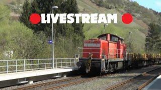 LIVESTREAM   von Tammy Company