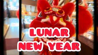 Phap Luan LION DANCE Houton Texas    PART 2 #CM #Shorts Performance #shortvideos 2024