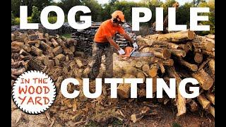 Firewood cutting - Logs in a pile with Husqvarna Chainsaws!  #463