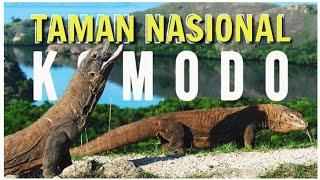 TAMAN NASIONAL KOMODO DI NUSA TENGGARA TIMUR || LABUAN BAJO