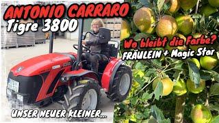 Obsthof Raddatz - Antonio Carraro Tigre 3800 | UNSER NEUER KLEINER | Wo bleibt die Farbe? | Fräulein