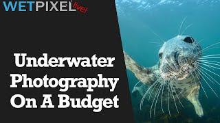 Underwater Camera Gear Options for Photographers on a Budget