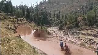 ox races today in jamola rajouri new video 2024