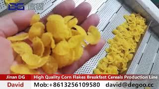 Europe Standard Corn Flakes Production Line Well Working in Customer's Factory