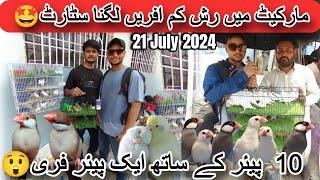 parrots price decreased in 21-7-2024 l Lalukhet birds market l Bidding & pice in Urdu /Hindi